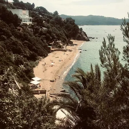 Chalet A Au Calme Sous Les Pins Gassin